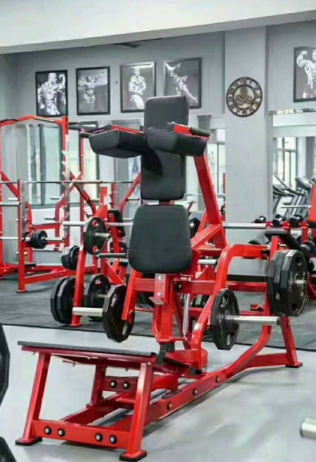 fitness